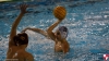 Sc Quinto A - RN Imperia 067