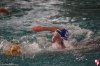 Rapallo Nuoto - Sc Quinto B 032