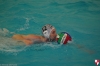 B&B SC Quinto - RN Imperia 57 - 011