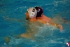B&B SC Quinto - RN Imperia 57 - 036