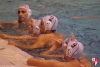 U20 - SC Quinto - RN Camogli - 053