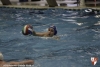 U17 Bogliasco Quinto_00015