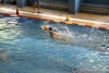 CN Sestri - SC Quinto-16