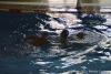 CN Sestri - SC Quinto-22