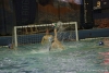 RN Bogliasco - SC Quinto-67