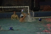 RN Bogliasco - SC Quinto-80