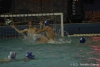 RN Bogliasco - SC Quinto-82