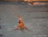 SC Quinto A - RN Bogliasco-16