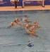 SC Quinto A - RN Bogliasco-20