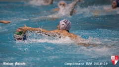 Quinto Imperia-37