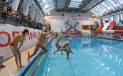 quinto bologna00-19