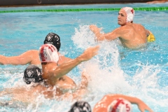 quinto-brescia-PAZ_4807