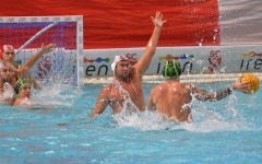 QUINTO.BRESCIA51