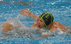 QUINTO.BRESCIA59