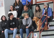 QUINTO-ORTIGIA00-53