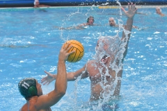 QUINTO-ORTIGIA00-91