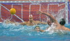 quinto-roma88