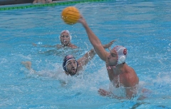 quinto-de-akker-bologna56