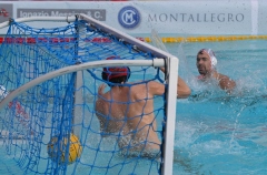 QUINTO-OLYMPIC60