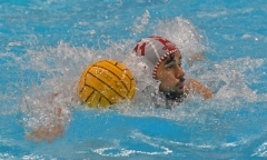QUINTO-TRIESTE22