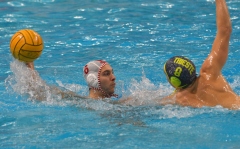 QUINTO-TRIESTE23