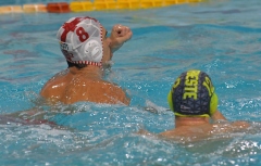 QUINTO-TRIESTE61
