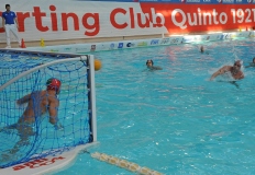 QUINTO-TELIMAR14