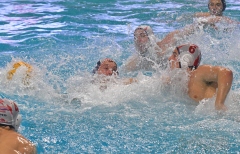 quinto-savona100
