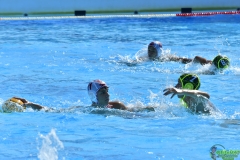 U161404_wm